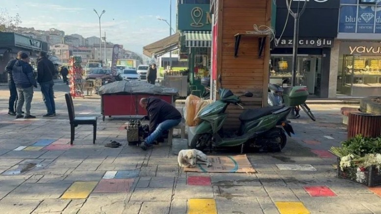 AYAKKABI BOYACISI ÖDÜL ALDI