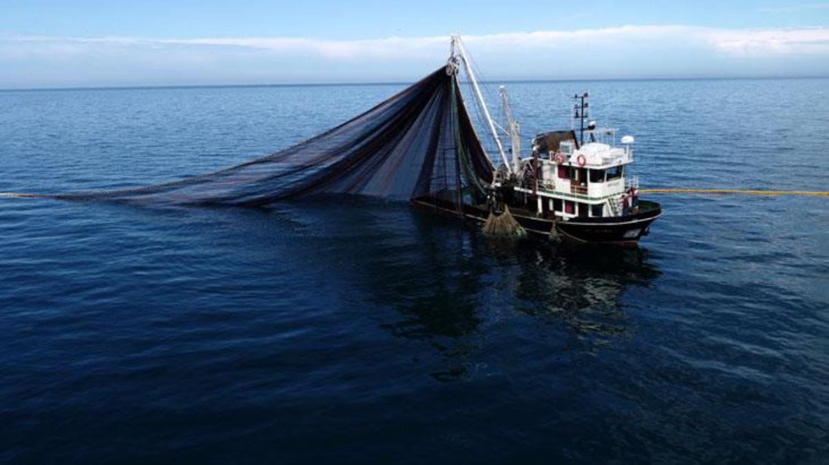 Jeoloji Mühendisi Prof. Dr. Osman Bektaş: Karadeniz'in akıbeti meçhule doğru gidiyor