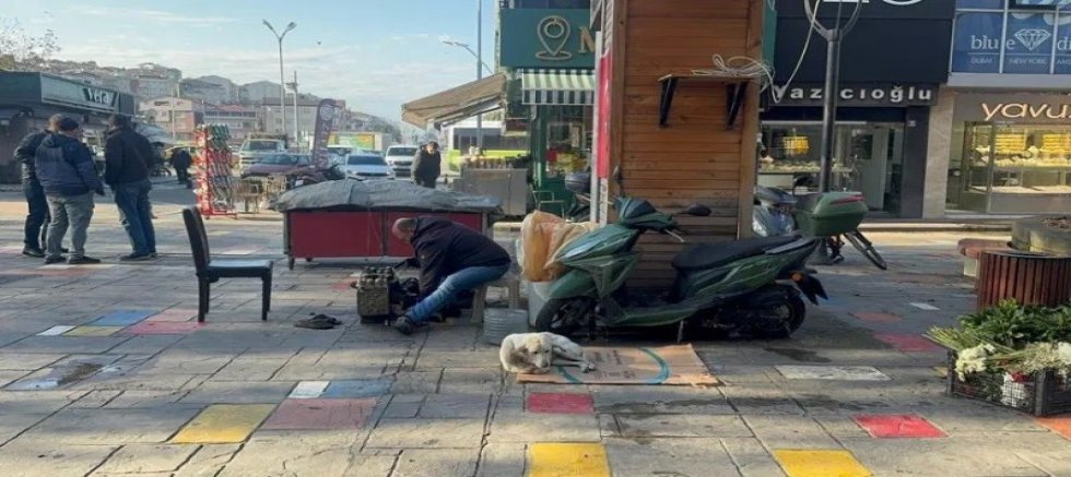 AYAKKABI BOYACISI ÖDÜL ALDI