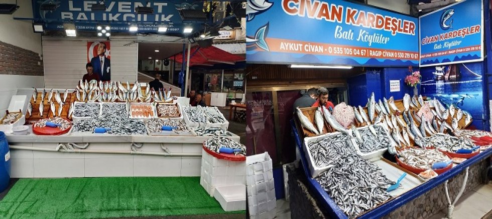 YAĞMUR YAĞDI TEZGÂHLAR BALIK ÇEŞİTLERİ İLE RENKLENDİ