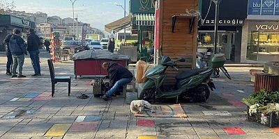 AYAKKABI BOYACISI ÖDÜL ALDI