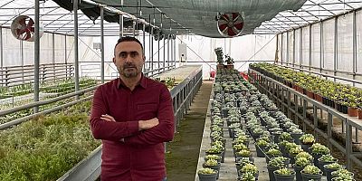 BARÜ’nün projesiyle şehrin salep yetiştiriciliğine katkı verilecek