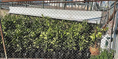 BAŞKAN YALMAN’DAN AÇIKLAMA