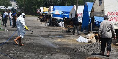 BELEDİYE KURBAN PAZARINI DENETLEDİ, KURBAN YAKALAMA TİMİ KURDU