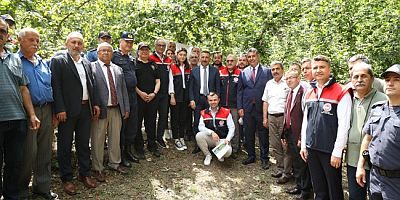 BİN 500 SAMURAY ARISI ORMANLI'DA DOĞAYA SALINDI