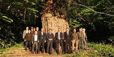 DÜNYA MİRASI AĞACI GÖRMEYE GİTTİ