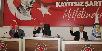 İL GENEL MECLİSİ’NDE KOMİSYON ÜYELERİ BELLİ OLDU