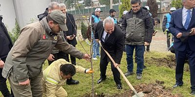 KAYMAKAM YAPICI'NIN DA  EREĞLİ'DE BİR AĞACI OLDU