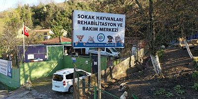KDZ. EREĞLİ BELEDİYESİ, SOKAK HAYVANLARINA DAHA İYİ ŞARTLAR OLUŞTURMAK İÇİN ÇALIŞIYOR
