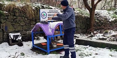 KDZ. EREĞLİ BELEDİYESİ, SOKAKTAKİ CANLARI UNUTMADI