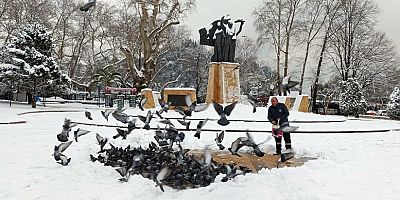 KDZ. EREĞLİ BELEDİYESİ, SOKAKTAKİ CANLARI UNUTMUYOR