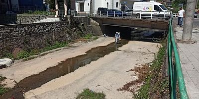 Kdz. Ereğli’de dere yatakları ve sulak alanlar ilaçlanıyor