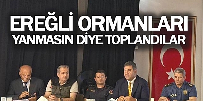 KDZ EREĞLİ'DE ORMAN YANGINLARI İÇİN PANEL