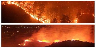 Kocamanoğlu: ‘Orman Yangınları Doğanın Sessiz Çığlığıdır’
