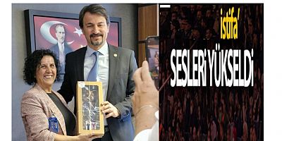 NAİLE BİNGÖL, MECLİS ÜYELİĞİNDEN İSTİFA ETSİN SESLERİ