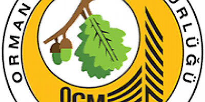 ORMAN GENEL MÜDÜRLÜĞÜ’NDEN EREĞLİ VE ALAPLI’YA MAKİNE DESTEĞİ